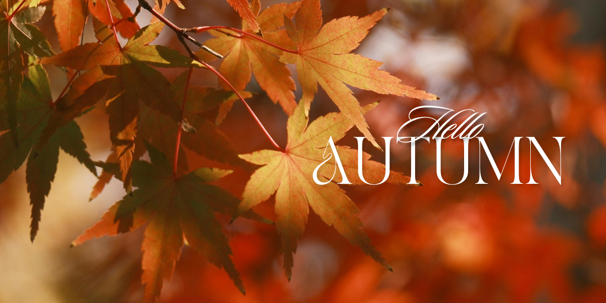 September Reading Picks: Getting Back on Track